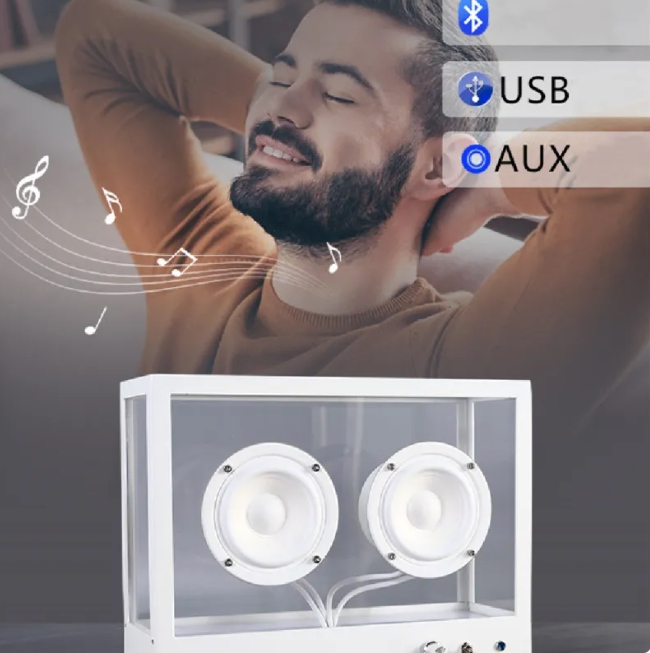 Scandinavian ClearSound Speaker